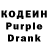 Кодеин Purple Drank Salo Pig