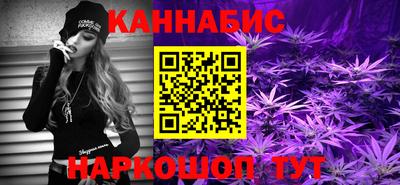СК Гатчина