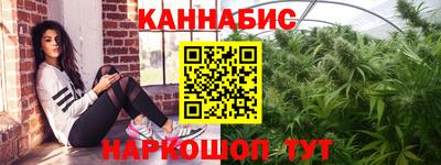 СК Гатчина