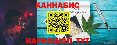 СК Гатчина
