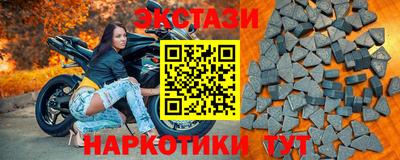 СК Гатчина