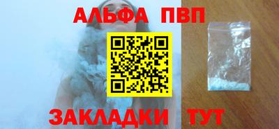 СК Гатчина