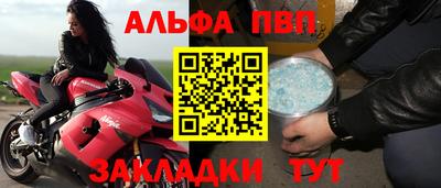 СК Гатчина