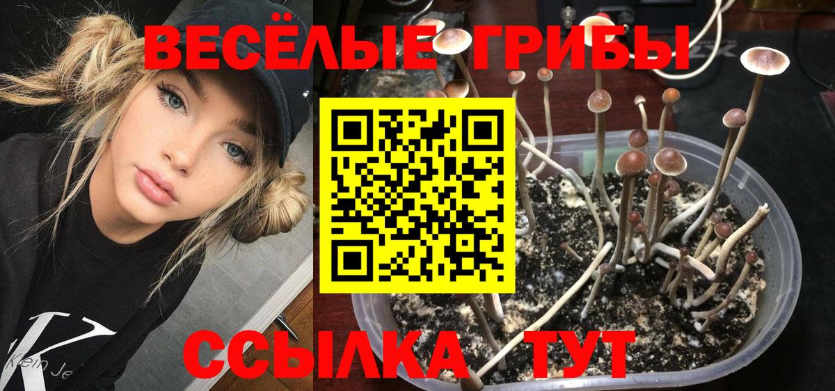 Псилоцибиновые грибы прущие грибы Ессентуки