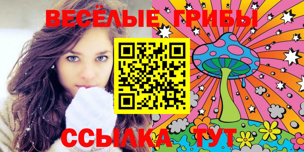 Галлюциногенные грибы GOLDEN TEACHER  как найти наркотики  Ессентуки  Вход с VPN 