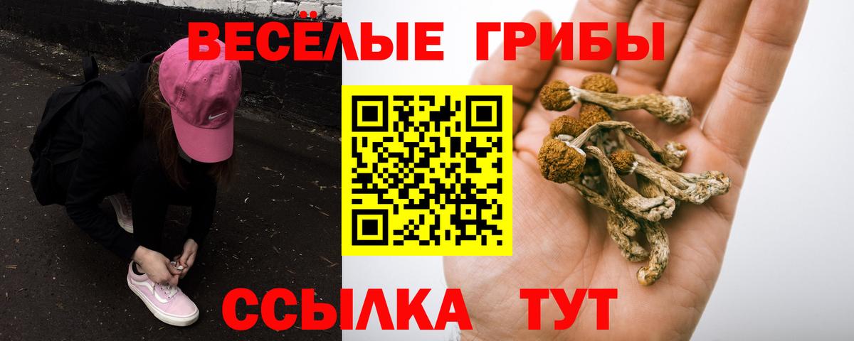 Псилоцибиновые грибы GOLDEN TEACHER  Ессентуки 