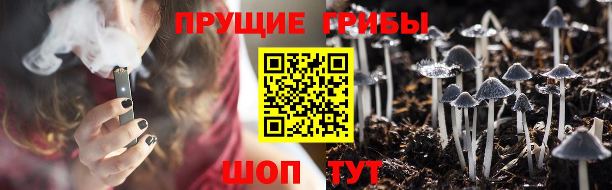 Псилоцибиновые грибы Psilocybine cubensis Ессентуки