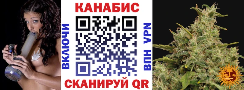 Бошки марихуана конопля Ессентуки