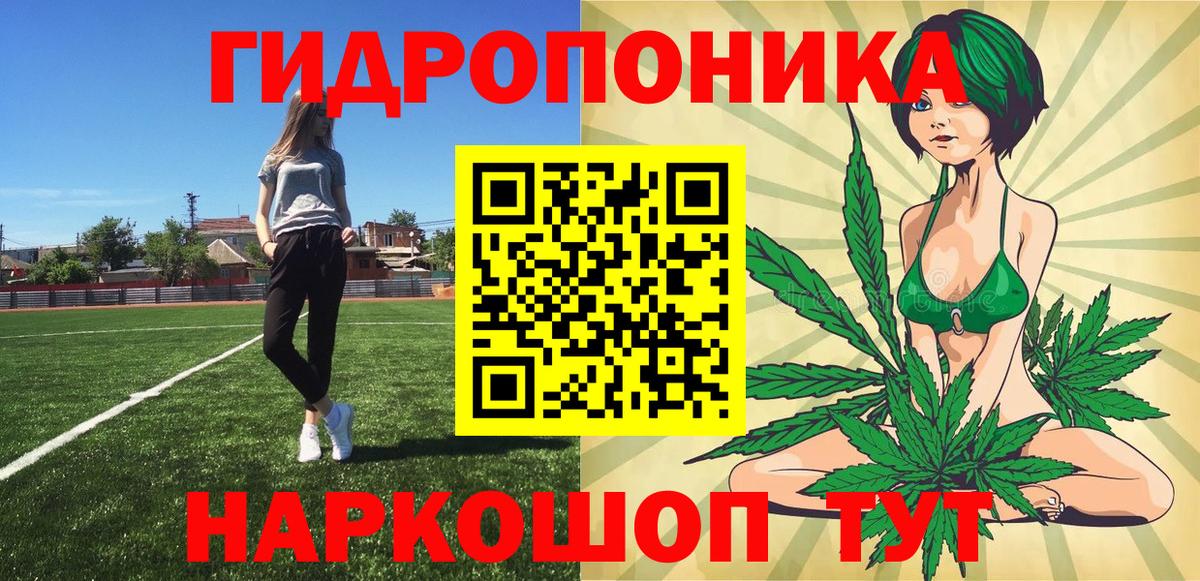 Бошки Шишки SATIVA & INDICA  МАРИХУАНА сатива  Бошки Шишки индика  Конопля марихуана  Вход с VPN  Ессентуки 